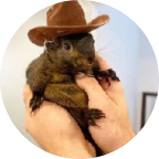 PNUT