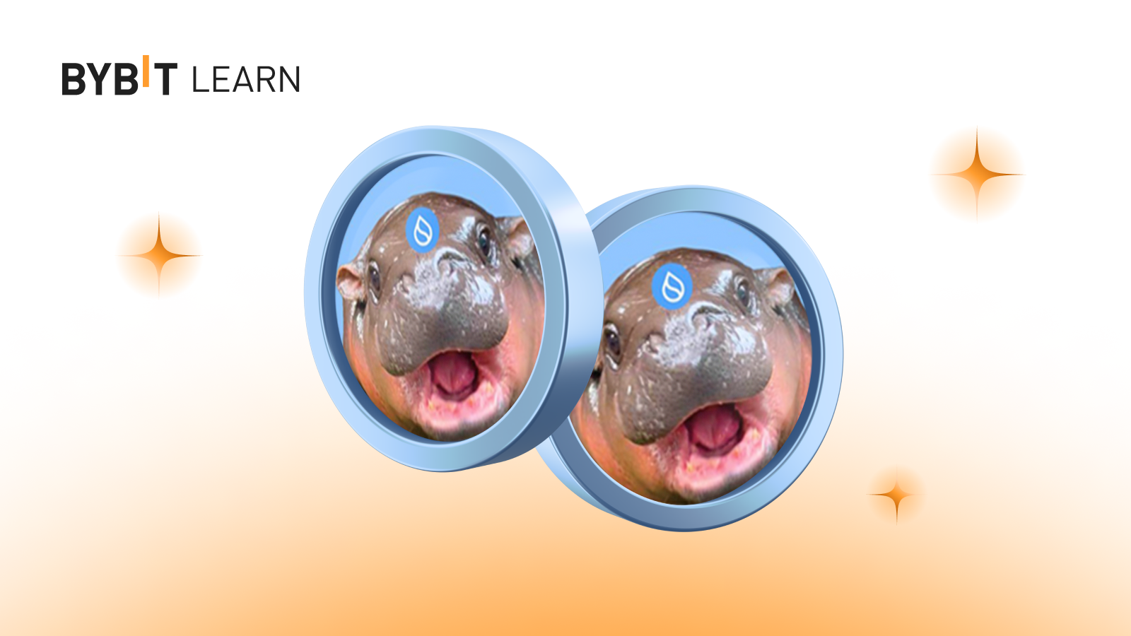 Sudeng (HIPPO):基於 SUI 的小河馬模因幣