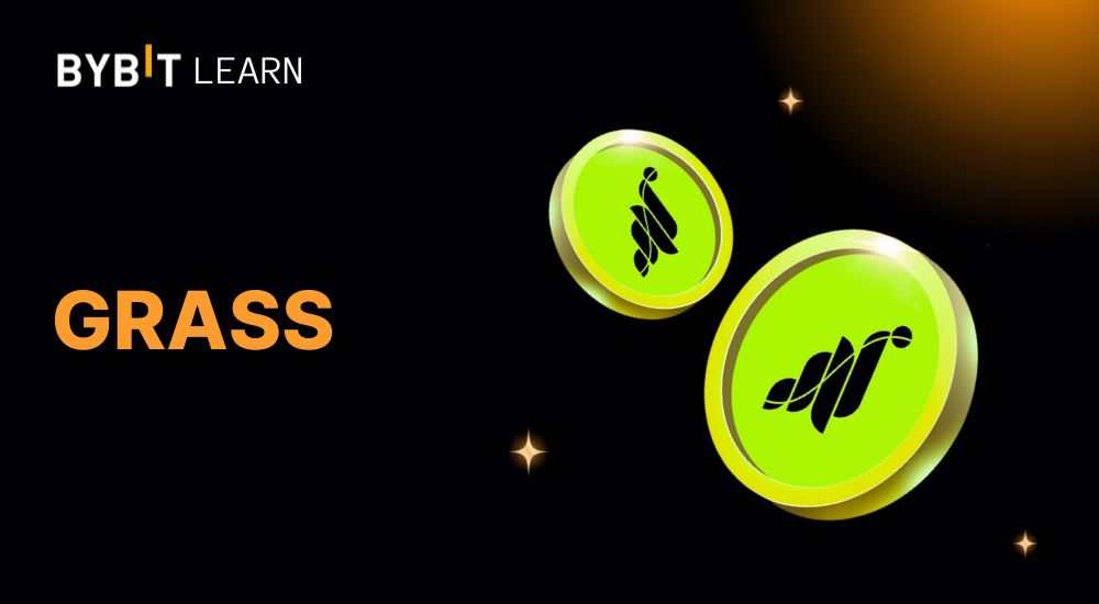 Grass là gì? Tổng quan chi tiết về dự án