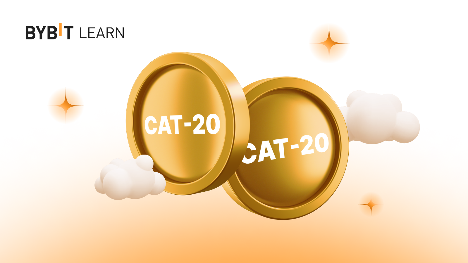 What Is the CAT20 Standard & How Does It Work?