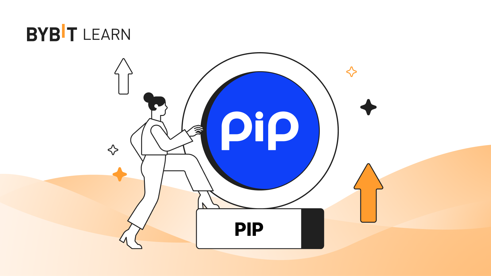 PIP (PIP)：無限制的全球支付方案