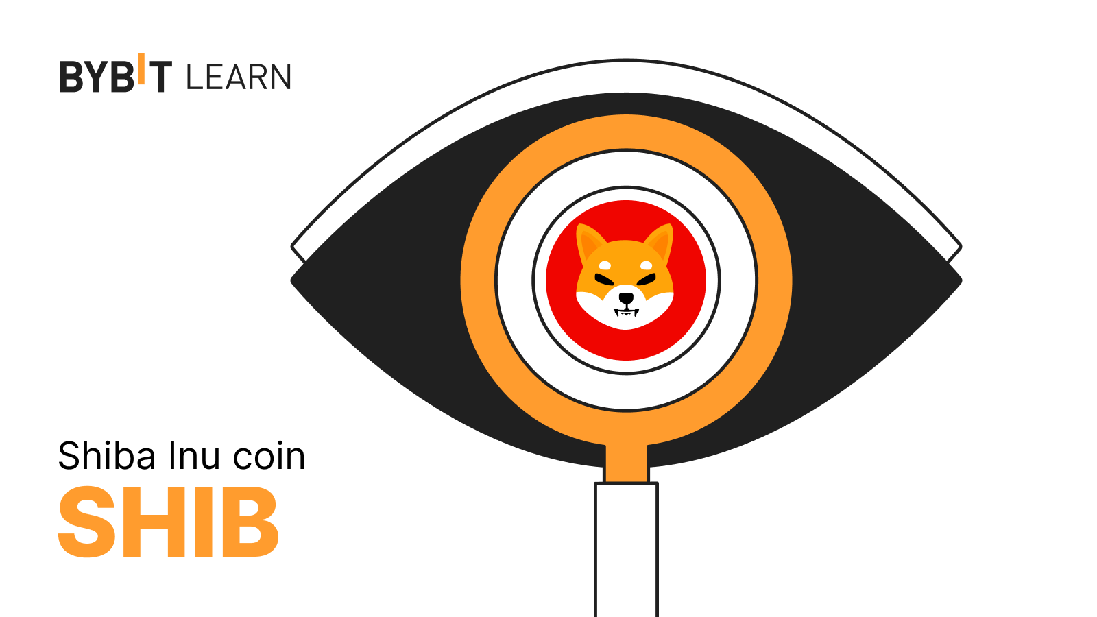 初學者指南：什麼是柴犬幣 (SHIB)？