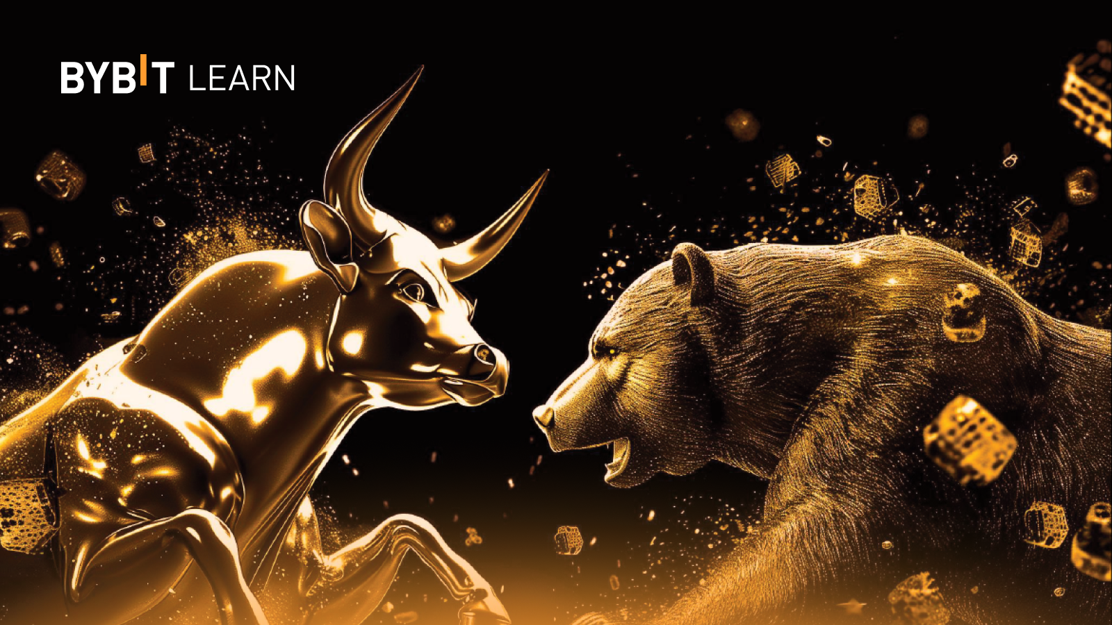 Asset Allocation (Q3 2024) – Bitcoin Strengthens Its Dominance as Lower-Ranking Tokens Lose Market Share