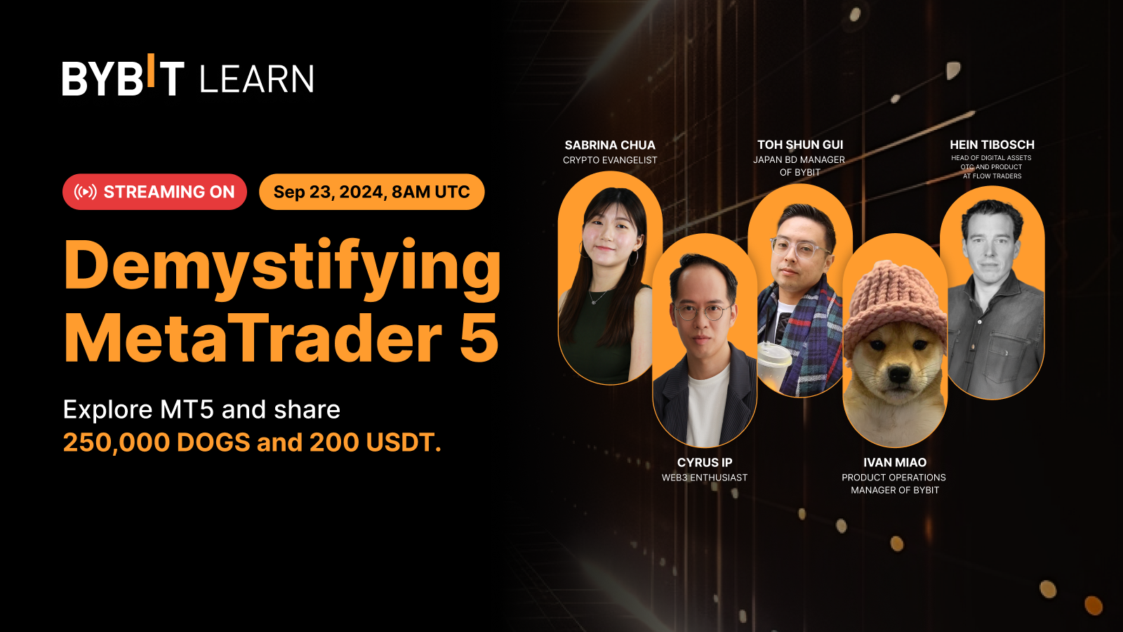 Learn Live ICYMI: Demystifying MetaTrader 5