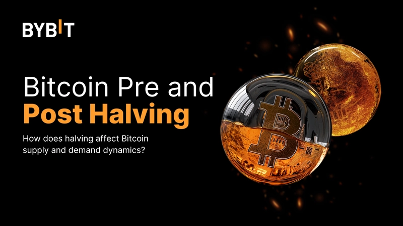 What You Need to Know About Bitcoin’s Pre- and Post-Halving