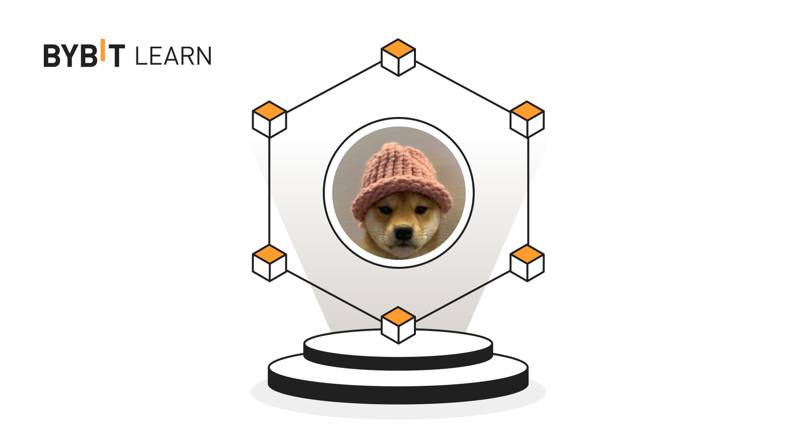 Dogwifhat (WIF):一個戴帽子的狗狗主題新興模因幣