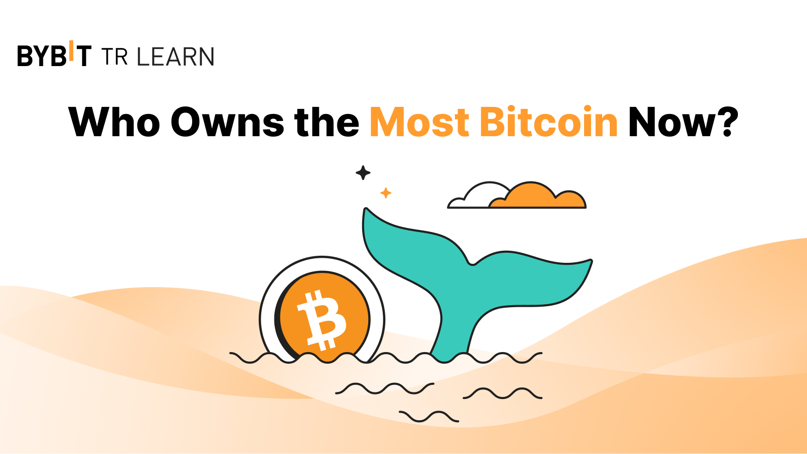 2024’te En Çok Bitcoin Kimde?