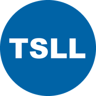 Direxion Shares ETF Trust Direxion Daily TSLA Bull 2X ETF