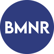 BitMine Immersion Technologies, Inc.