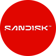 Sandisk Corporation Common Stock